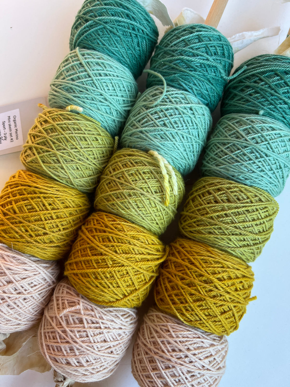 Organic Merino Mini Set #2